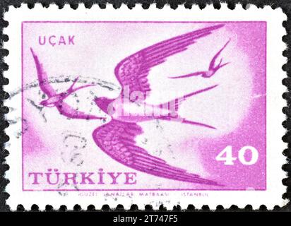 Gestempelte Briefmarke, gedruckt von der Türkei, auf der Scheunenschwalbe (Hirundo rustica), um 1959 zu sehen ist. Stockfoto