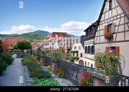 Bergheim, Weindorf im Elsass, bunte Fachwerkhäuser in der mittelalterlichen Altstadt Stockfoto