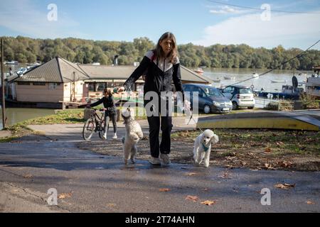 Belgrad, Serbien, 12. November 2023: Weibliche Wanderhunde an der Donaupromenade in Zemun Stockfoto