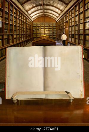 Antikes Buch mit strukturierten Seiten und einer antiken Bibliothek im Hintergrund. Stockfoto