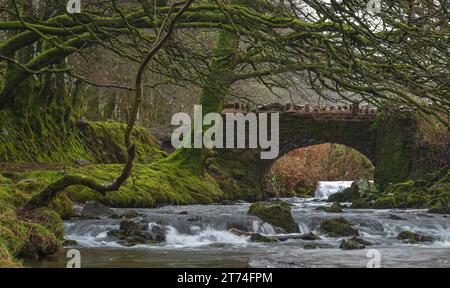 Blick auf das schnell fließende Weir Water bei Robbers Bridge, Hookway Hill, Porlock, Somerset, England, Großbritannien, Teil des Exmoor-Nationalparks. Stockfoto