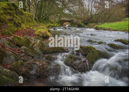 Blick auf das schnell fließende Weir Water bei Robbers Bridge, Hookway Hill, Porlock, Somerset, England, Großbritannien, Teil des Exmoor-Nationalparks. Stockfoto