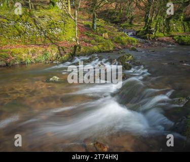 Blick auf das schnell fließende Weir Water bei Robbers Bridge, Hookway Hill, Porlock, Somerset, England, Großbritannien, Teil des Exmoor-Nationalparks. Stockfoto