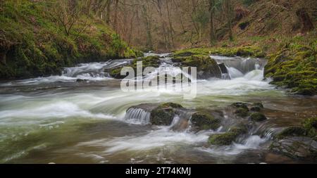 Schnell fließendes Wasser auf den Flüssen bei National Trusts Watersmeet in North Devon, Devon, England, Großbritannien. Teil des Exmoor-Nationalparks. Stockfoto