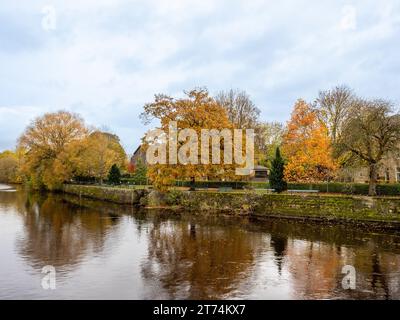 Tittybottle Park im Herbst am Ufer des Flusses Wharfe in Otley Stockfoto