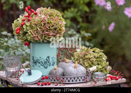 Herbstarrangement mit Blumenstrauß aus Hortensie und Hüftrosen in Vintage-Milchkanne und Kürbissen Stockfoto