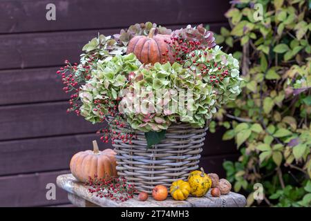 Herbstliches Blumenarrangement mit Hortensie-Blüten, Hüftrosen und Kürbis im Korb Stockfoto