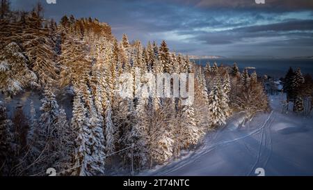 Eine malerische Winterlandschaft mit einem sanften Hügel, bedeckt mit weißem Schnee, mit Bäumen auf dem abfallenden Gelände Stockfoto