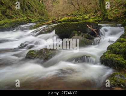 Schnell fließendes Wasser auf den Flüssen bei National Trusts Watersmeet in North Devon, Devon, England, Großbritannien Stockfoto
