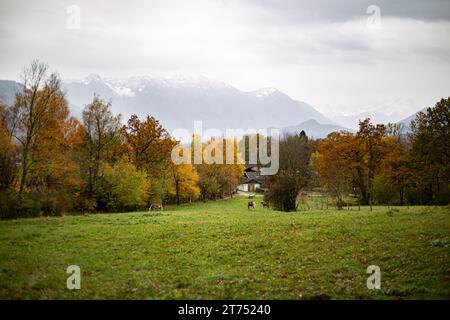 Murnau Am Staffelsee, Deutschland. November 2023. Herbstliches Regenwetter am 13.11.2023 im oberbayerischen Murnau im Alpenvorland. -- Regenwetter am 13. November 2023 im südbayerischen Murnau, Deutschland im Alpenvorland. (Foto: Alexander Pohl/SIPA USA) Credit: SIPA USA/Alamy Live News Stockfoto