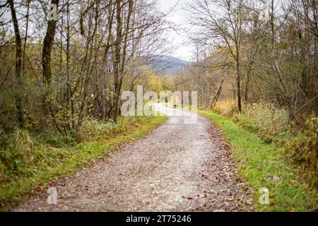 Murnau Am Staffelsee, Deutschland. November 2023. Herbstliches Regenwetter am 13.11.2023 im oberbayerischen Murnau im Alpenvorland. -- Regenwetter am 13. November 2023 im südbayerischen Murnau, Deutschland im Alpenvorland. (Foto: Alexander Pohl/SIPA USA) Credit: SIPA USA/Alamy Live News Stockfoto