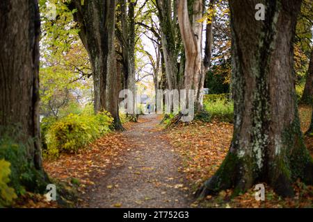 Murnau Am Staffelsee, Deutschland. November 2023. Herbstliches Regenwetter am 13.11.2023 im oberbayerischen Murnau im Alpenvorland. -- Regenwetter am 13. November 2023 im südbayerischen Murnau, Deutschland im Alpenvorland. (Foto: Alexander Pohl/SIPA USA) Credit: SIPA USA/Alamy Live News Stockfoto