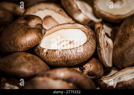 Makroaufnahme frischer Pilze Stockfoto