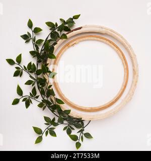 Blätter Dekoration mit leeren Holzkreisen weißen Hintergrund Stockfoto