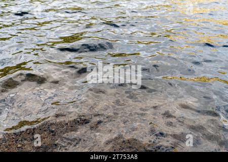 Nahaufnahme des klaren Wassers am Rande eines Bergsees. Sand und Kieselsteine sind im Vordergrund unter der Wasseroberfläche sichtbar. Stockfoto