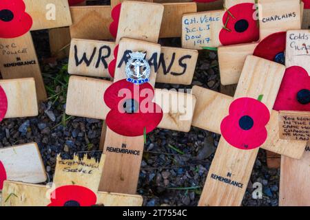 Falmouth erinnert sich an den Tag der Gefallenen am Gedenktag 2023 mit einer Parade von Militärkräften und einer Kranzniederlegung im Kimberly Park. Stockfoto