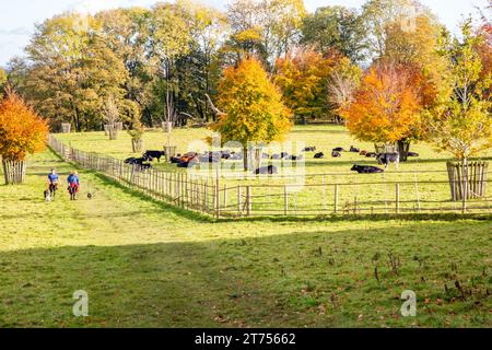 Menschen, die in der Herbstsonne in Chirk North Wales durch das Gelände und die Parkanlage des National Trust Chirk Castle gehen Stockfoto