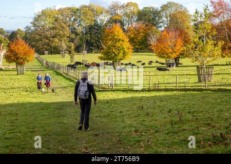 Menschen, die in der Herbstsonne in Chirk North Wales durch das Gelände und die Parkanlage des National Trust Chirk Castle gehen Stockfoto