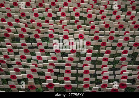 Markierungsreihen am Field of Remembrance Memorial in der Westminster Abbey in London Stockfoto