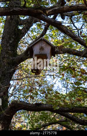 Hausgemachtes Vogelhaus aus Holz, das an einem Ast hängt Stockfoto