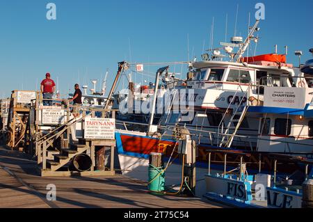 Charterboote säumen den Pier im Captree State Park New York Stockfoto