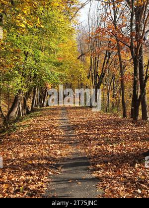 Ehemalige Delaware & Hudson Canal Route in der Nähe von Port Jervis, New York. Dieser Teil ist jetzt ein 1,5 km langer Weg. Es wurden alte Versorgungsmasten gesehen, die nicht mehr in Ordnung sind. Stockfoto