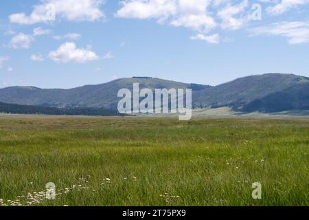 Landschaft einer Bergwiese an einem sonnigen Sommertag. Grünes Gras im Vordergrund mit blauem Himmel und weißen Wolken. Stockfoto