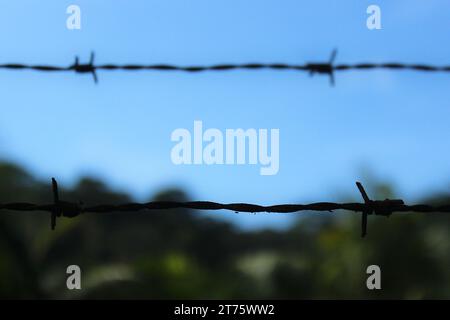 Ländliches Leben in der Perspektive, Nahaufnahme eines Stacheldrahtzaugs im Vordergrund, während eine verschwommene natürliche Landschaft im Hintergrund. Stockfoto