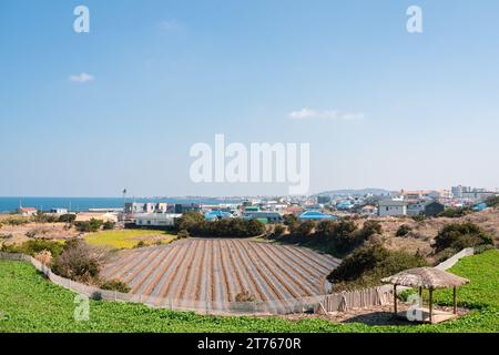 Blick auf das Dorf Jocheon-eup am Meer auf der Insel Jeju, Korea Stockfoto