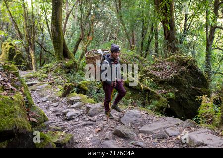 November 2023. Nepal. Trekker und Töpfer auf dem Weg zum Annapurna Basislager Stockfoto