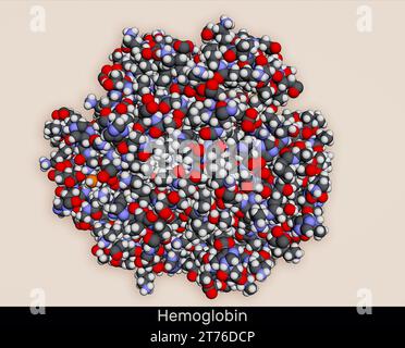 Hämoglobin Hämoglobin, Hb- oder HGB-Molekül. Es handelt sich um Blutprotein. Molekulares Modell. 3D-Rendering. Abbildung Stockfoto