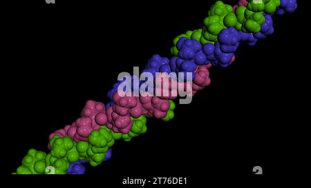 Kollagenproteinmolekül. Molekulares Modell. 3D-Rendering. Abbildung Stockfoto