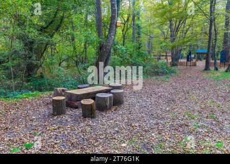 Tisch, Stühle aus Baumstämmen im Wald. Picknickbereich Stockfoto