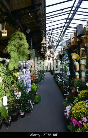 Marché aux Fleurs reine Elizabeth II ist ein 19. Alter Blumen- und Pflanzenmarkt am Place Louis Lépine, Paris, Frankreich. Stockfoto