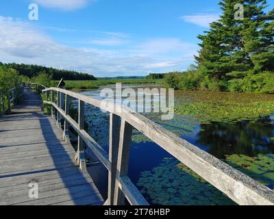 Eine idyllische Szene eines Sees, mit einer hölzernen Promenade, die zum Ufer führt Stockfoto