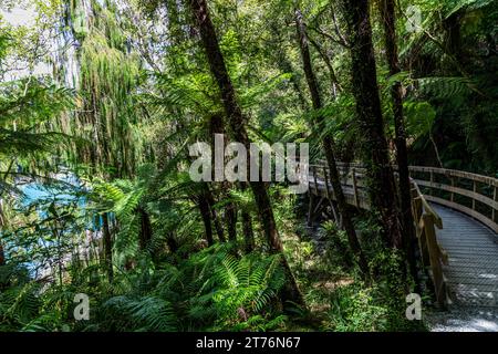 Die Hokitika Gorge ist ein bedeutendes Touristenziel, etwa 33 Kilometer von Hokitika, Neuseeland, entfernt. Die türkisfarbene Farbe ist durch das glaziale Mehl im Wasser entstanden. Stockfoto