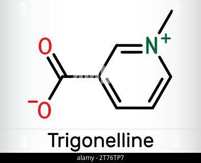 Trigonelline pflanzliche Alkaloidmoleküle. Es ist Methylierungsprodukt von Niacin-Vitamin B3, methyliertem Niacin. Die chemische Formel des Skeletts. Vektorillustratio Stock Vektor