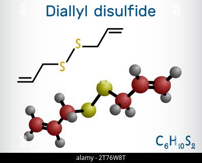 Diallyldisulfid, VÄTER-Molekül. Strukturelle chemische Formel, Molekülmodell. Stock Vektor
