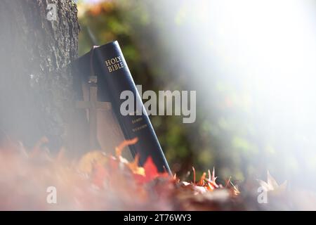 Herbstlandschaft mit hellen Lichtern, gefallenen Blättern, roten Ahornblättern und dem heiligen Kreuz Jesu Christi und der Bibel Stockfoto