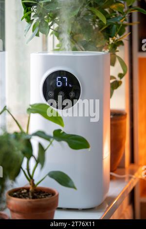 Ultraschall-Luftbefeuchter mit Sensor auf Fensterbank und Topfpflanzen Blumen, die Wasserdampf sprühen. Stockfoto