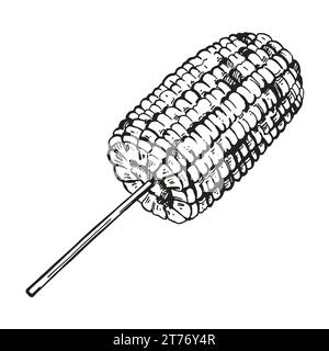 Hand gezeichnete Vektorskizze von gebackenem Zuckermais, gegrilltem Maisohr, schwarz-weiße Illustration des Maisohrs, getönte Illustration isoliert auf weiß Stock Vektor