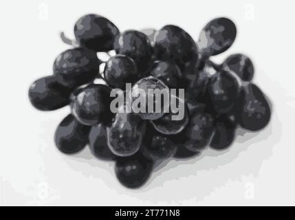 Vektor-Illustration eines Straußes schwarzer Trauben Stock Vektor