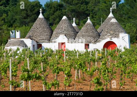 Trullo in einem Weingarten in der Nähe von Alberobello, Apulien, Italien, Europa Stockfoto