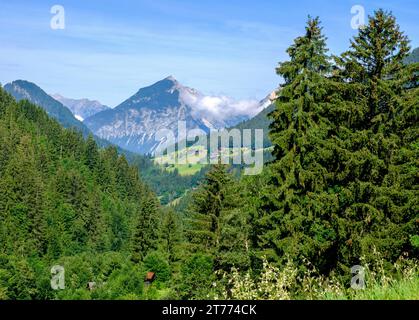 Hohe Bäume mit österreichischen Alpen im Hintergrund, niedrige Wolken, Häuser, grüne, sanfte Felder. Stockfoto