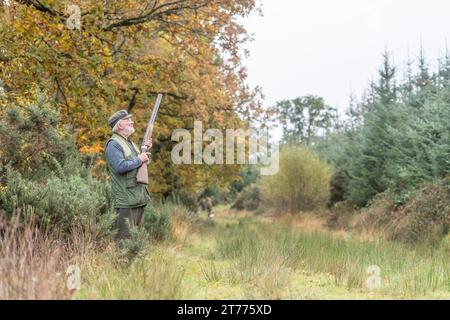 Älterer Mann mit einer Schrotflinte auf einem Vogelschießen Stockfoto