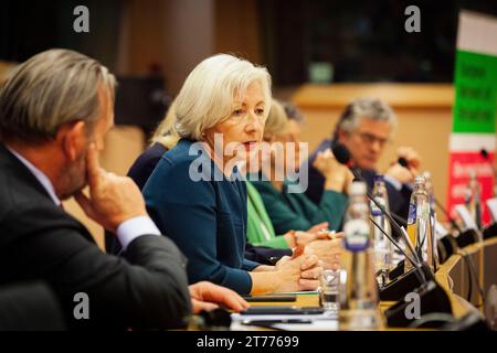 Nicolas Landemard / Le Pictorium - Konferenz des Netzes des Europäischen Bürgerbeauftragten für Migration - 09/11/2023 - Belgien / Brüssel / Brüssel - Monique Pariat. In einem voll ausgestatteten Saal im Europäischen Parlament in der belgischen Hauptstadt fand heute eine Konferenz über Menschenrechte, Migration und künstliche Intelligenz statt. Zu den Rednern zählten Sally Hayden, Journalistin und Schriftstellerin, Emily O'reilly, Vertreterin der Europäischen Bürgerfrauen, und Monique Pariat, Generaldirektorin der GD Migration und europäische Angelegenheiten der Kommission. Stockfoto