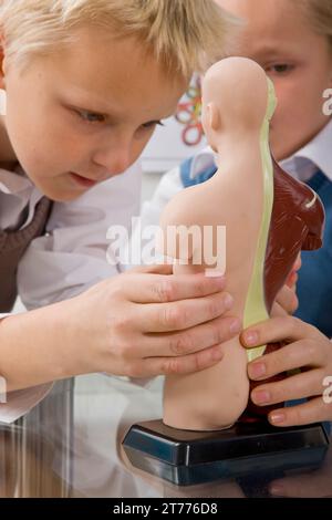 Zwei jungen, die Inspektion eines anatomischen Modells Stockfoto