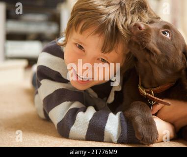 Lächelnder Junge mit einem Schokoladen-labrador-Welpen, der seine Haare kaut Stockfoto