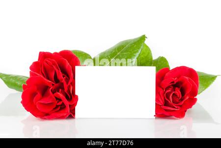 Zwei rote Rosen und leere Geschenkkarte für Text auf weißem Hintergrund, Begrüßungskonzept Stockfoto