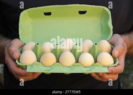 Hühnereier in einer Eierkiste. Stockfoto